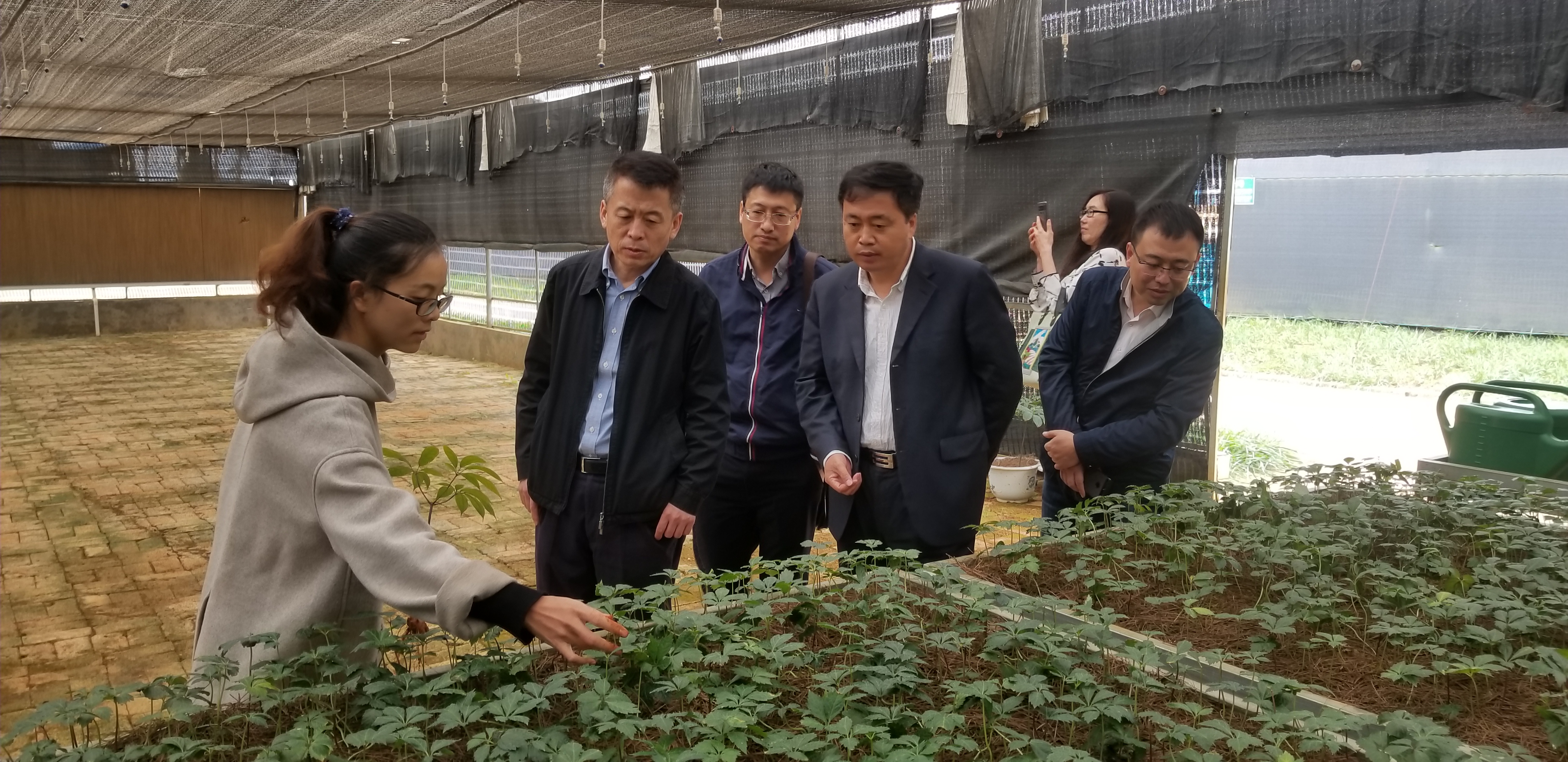 Z6·尊龙凯时「中国区」官方网站